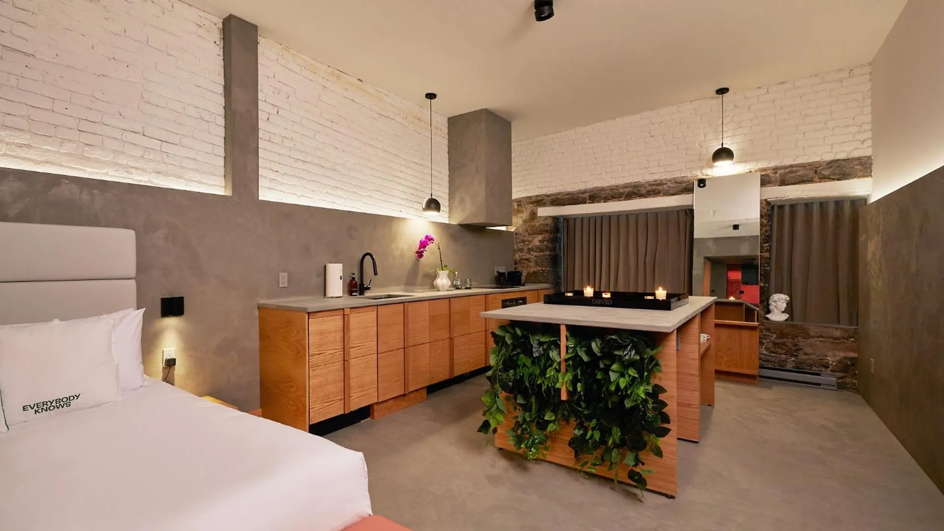 ****  David Hotel Montreal Canada